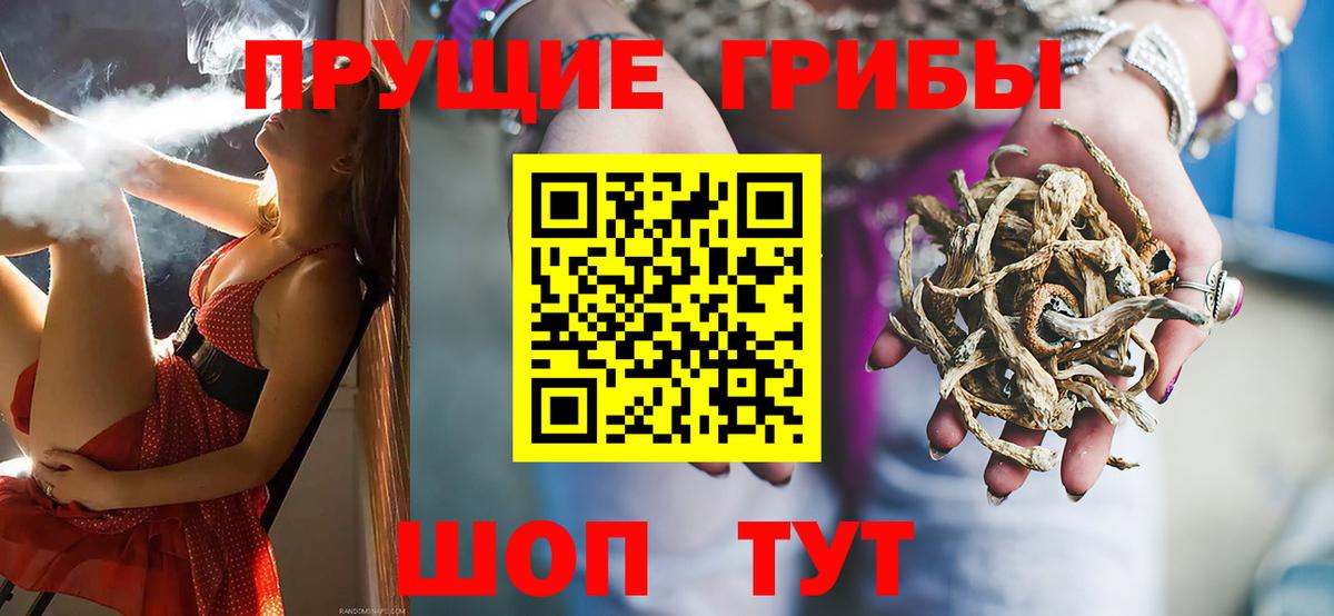 Галлюциногенные грибы прущие грибы Надым